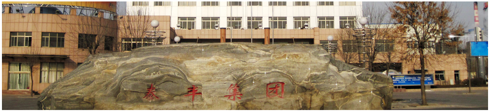 二十次全國代表大會